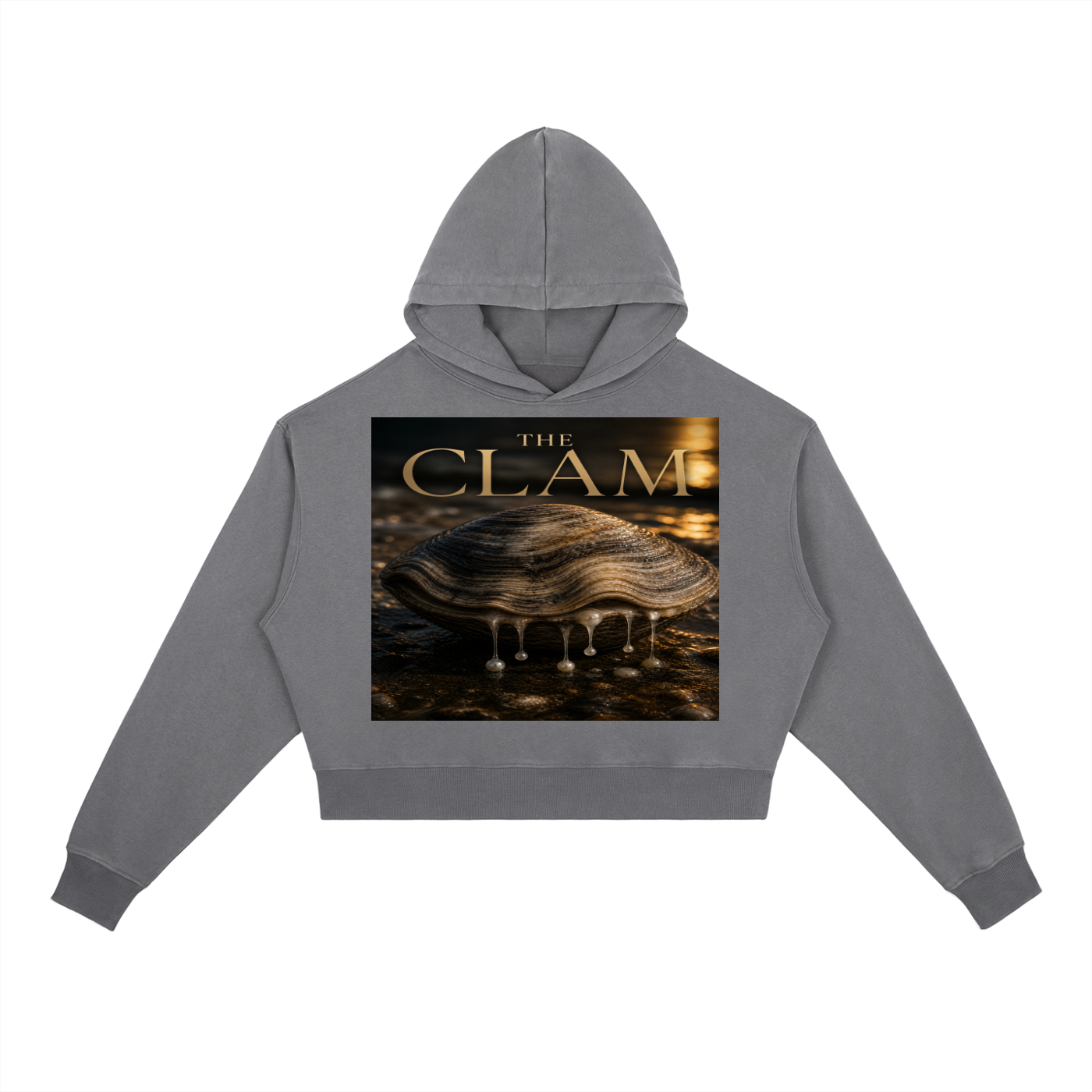 Sweat à Capuche Lourd Lavé Vintage