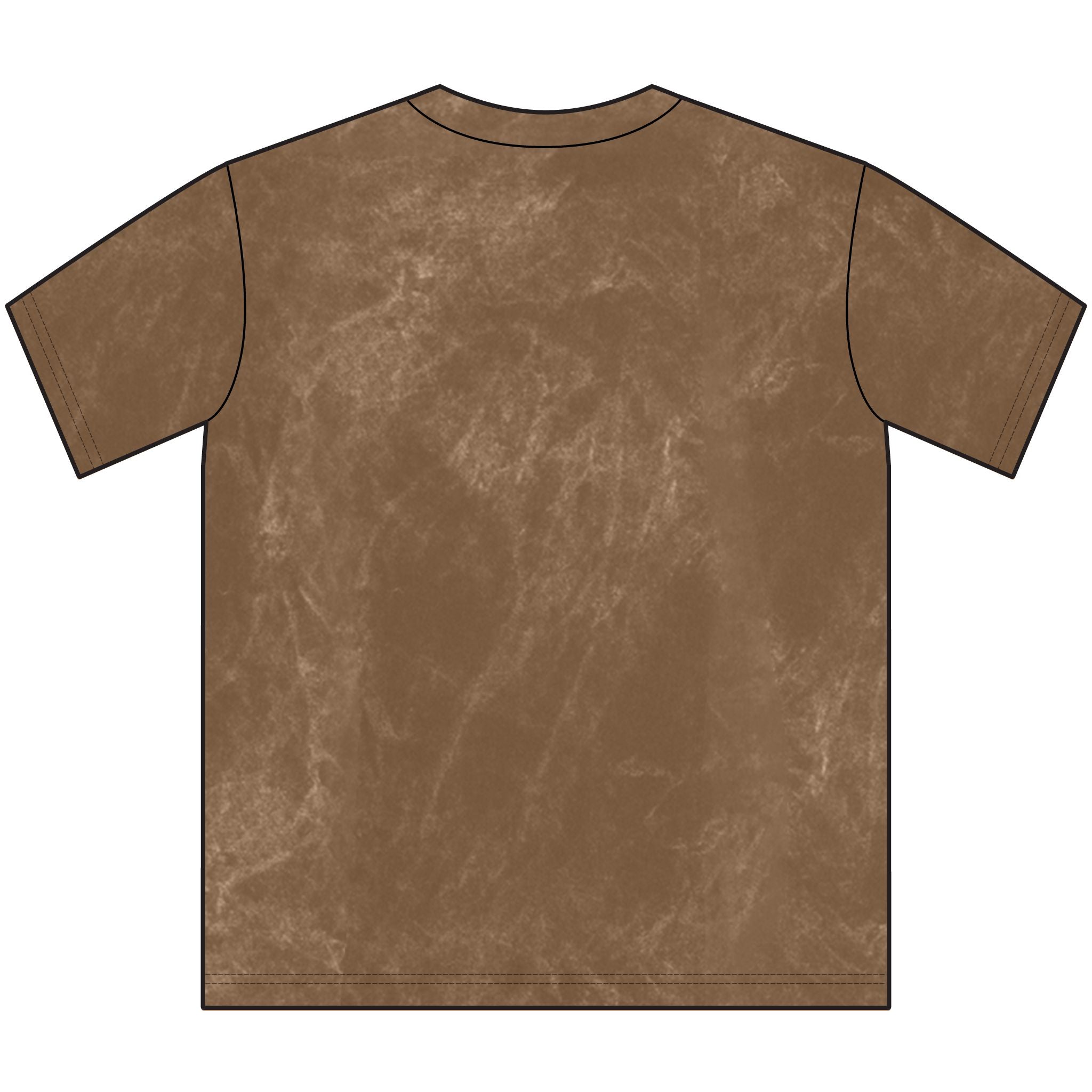 Crazy as a Road Lizard Vintage Crewneck Tee