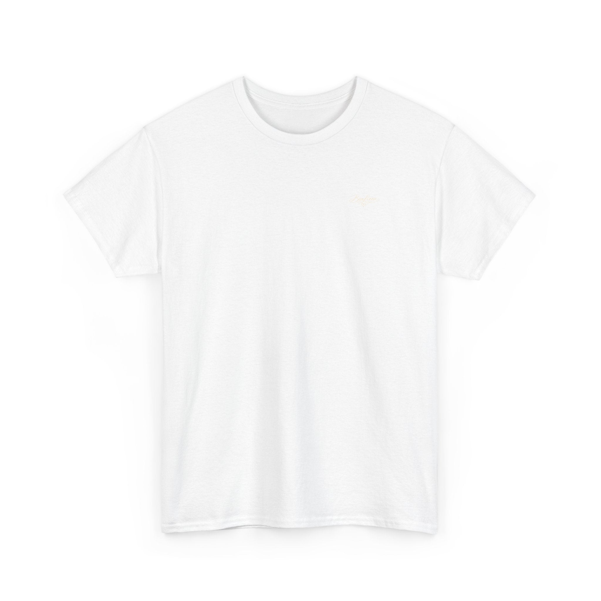 Unisex Heavy Cotton Teeshirts