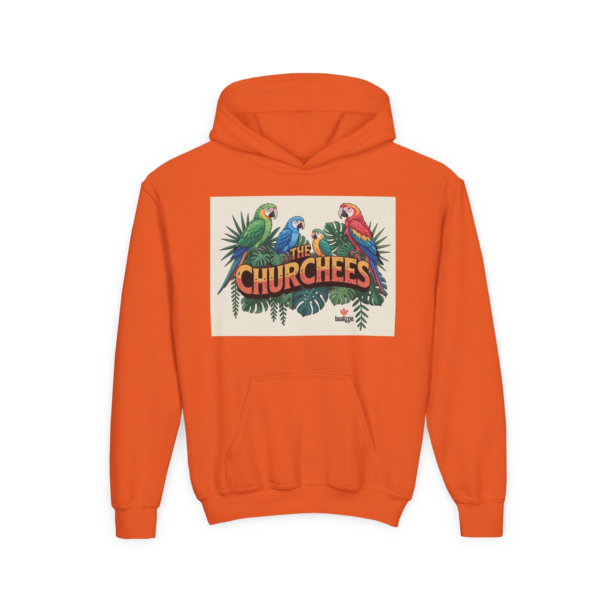 Youth Hoodie — Vibe Sweatshirt