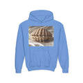 Sweat à capuche enfant — Sweat-shirt enfant