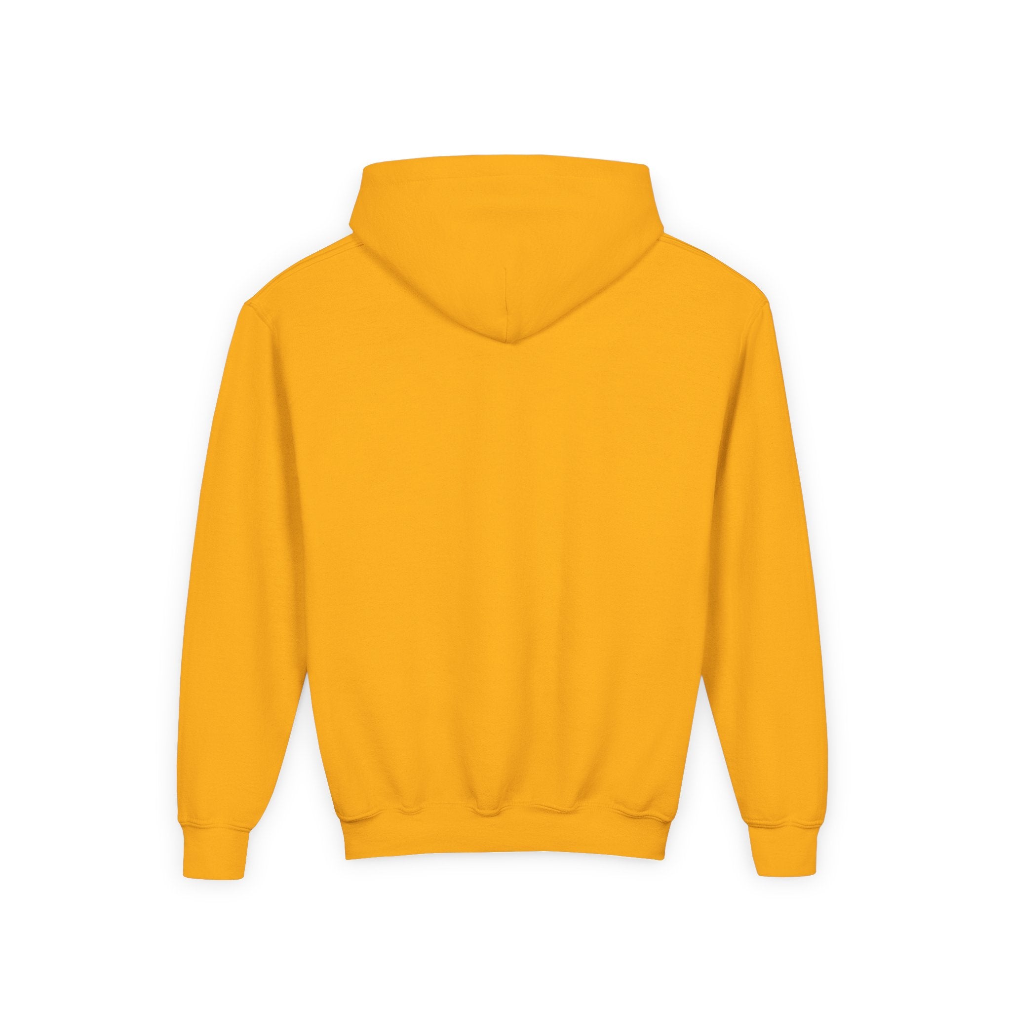 Sweat à capuche pour jeunes — Sweat Vibe