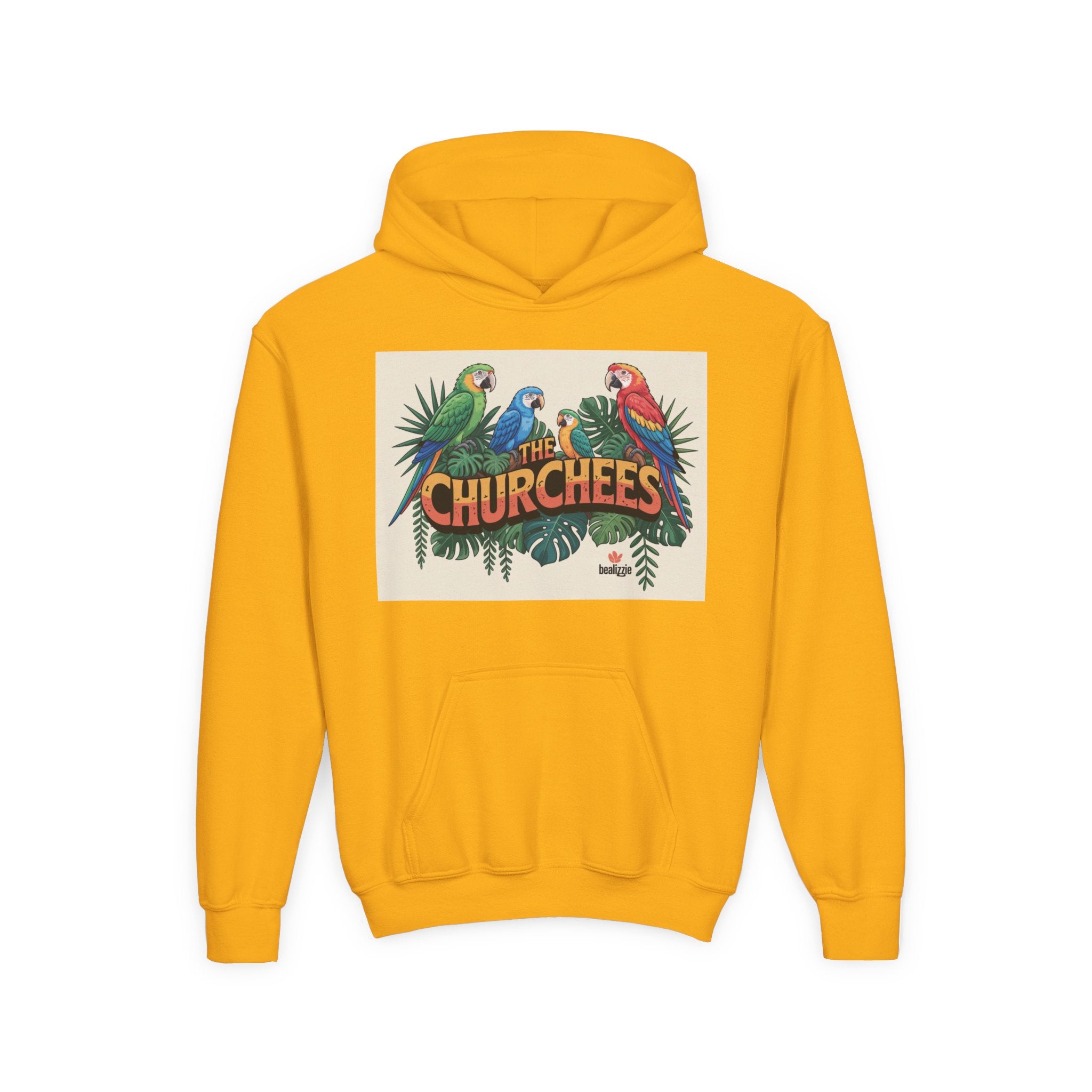 Youth Hoodie — Vibe Sweatshirt