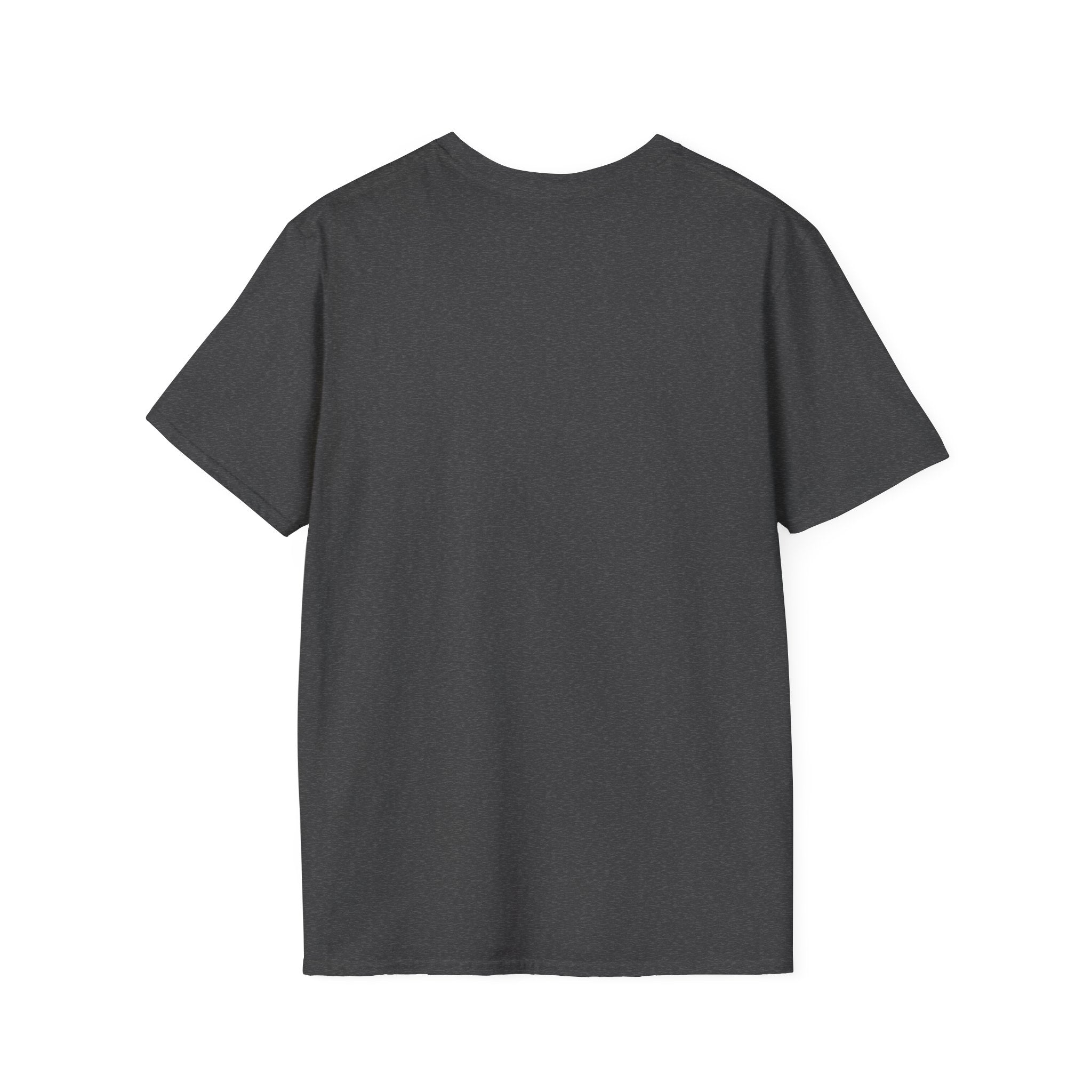 Armor of My Ancestors T-Shirt — Viking Warrior Shield Graphic Tee