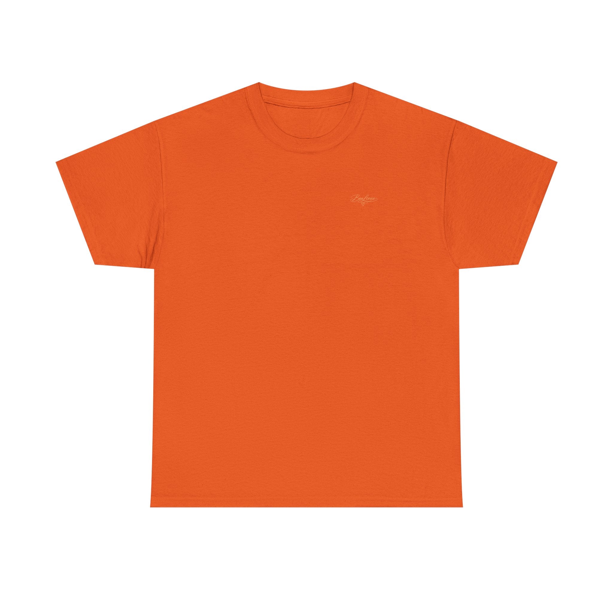 Unisex Heavy Cotton Teeshirts