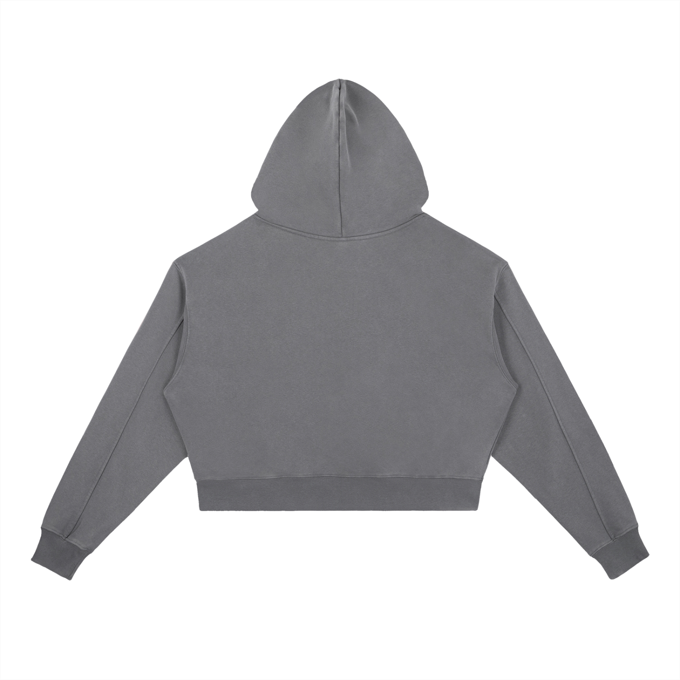 Sweat à Capuche Lourd Lavé Vintage