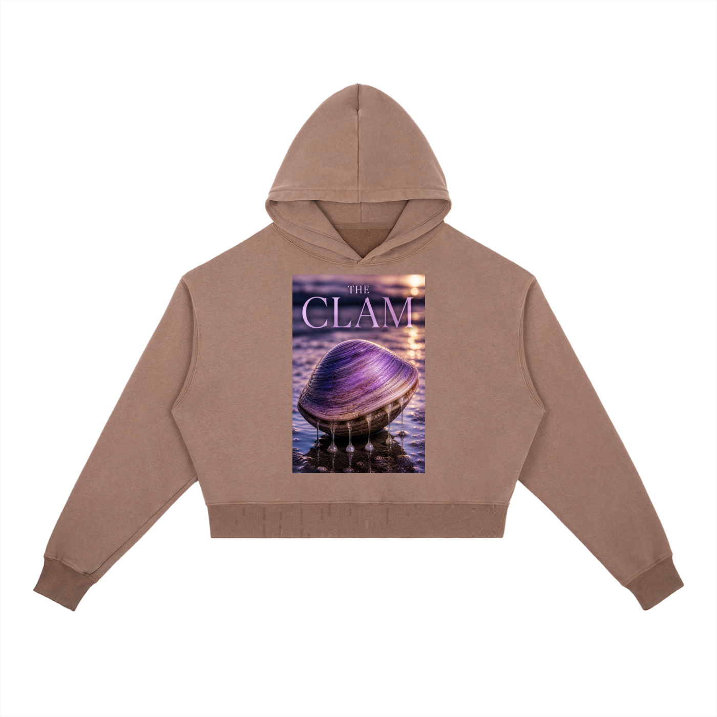 Sweat à capuche épais délavé vintage