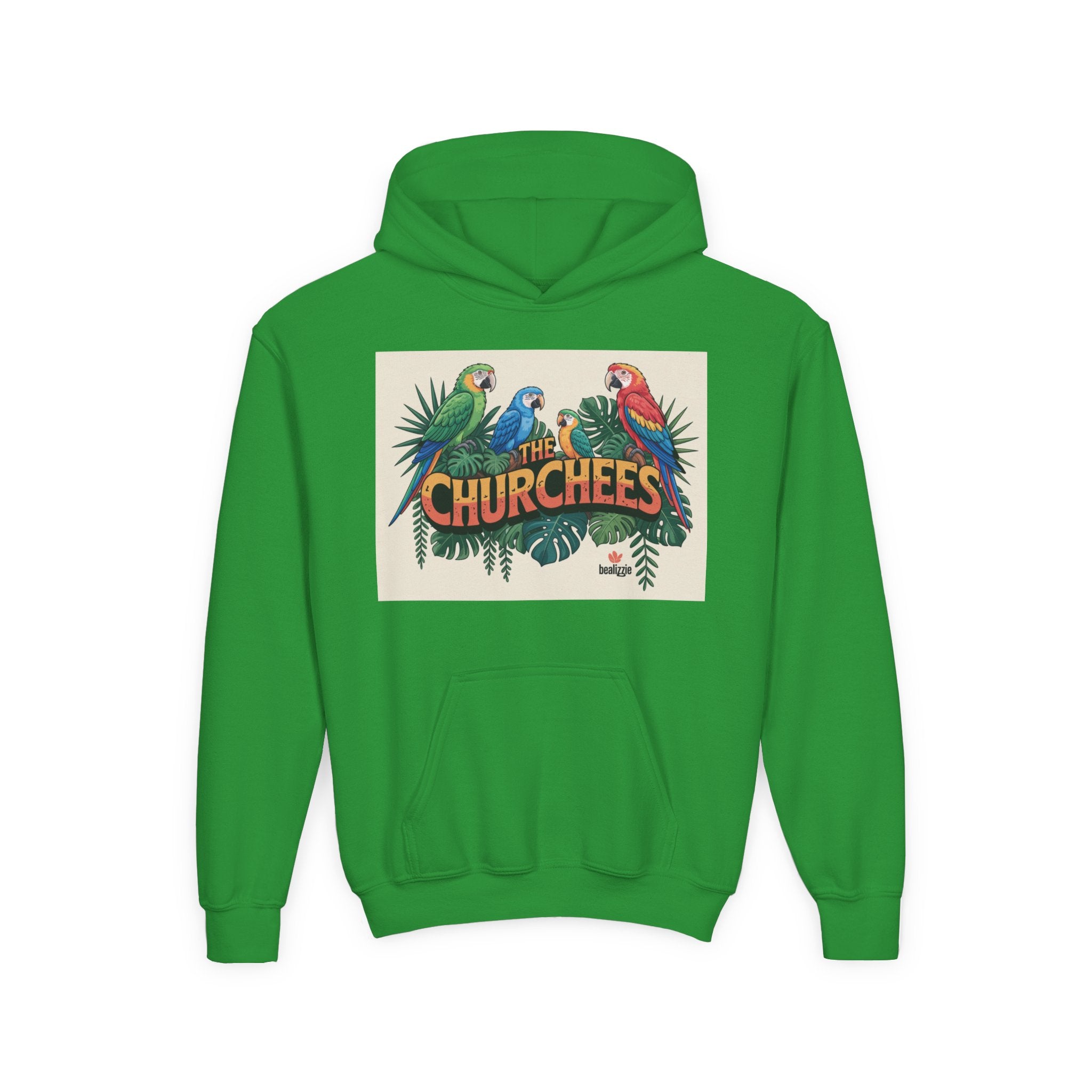 Youth Hoodie — Vibe Sweatshirt