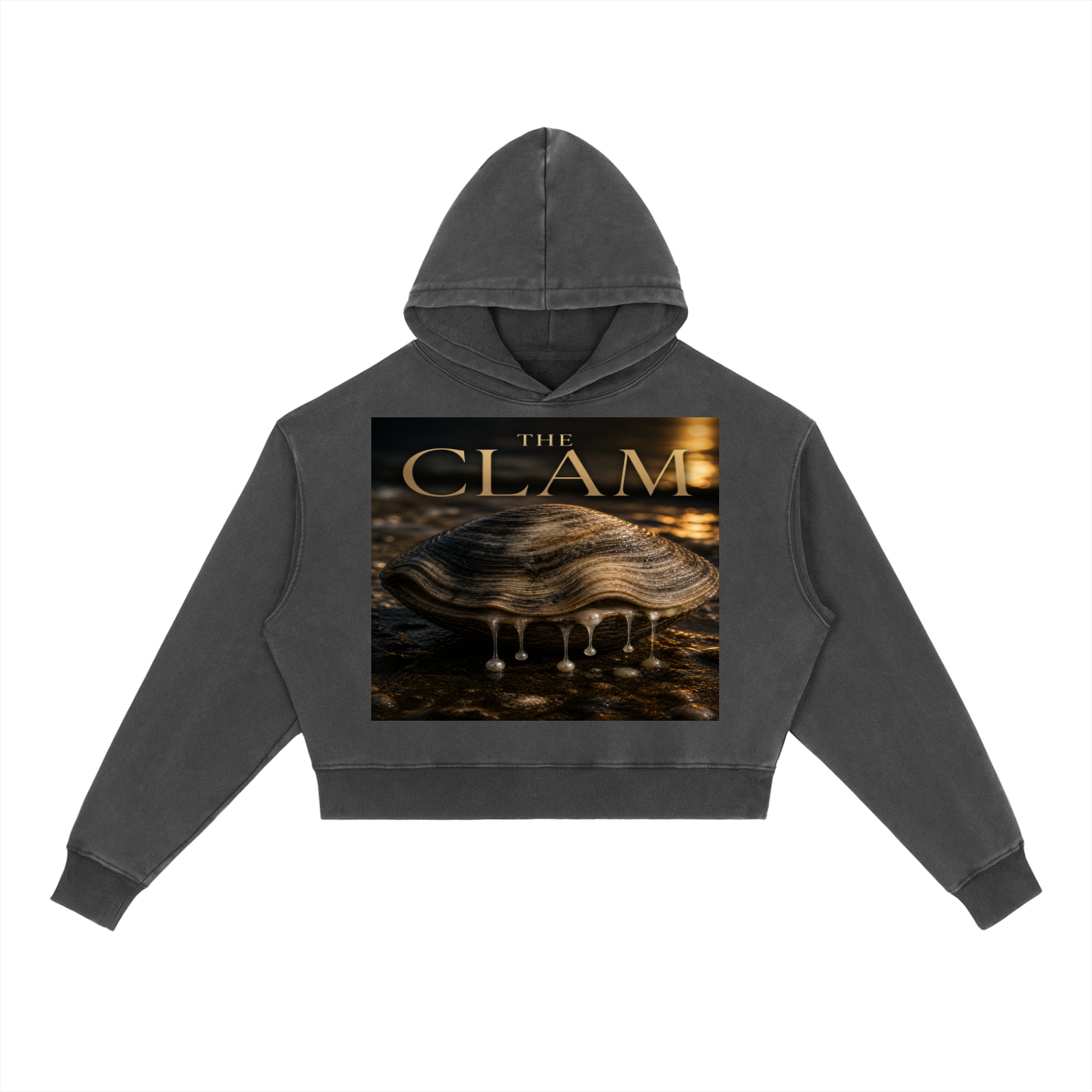 Sweat à Capuche Lourd Lavé Vintage