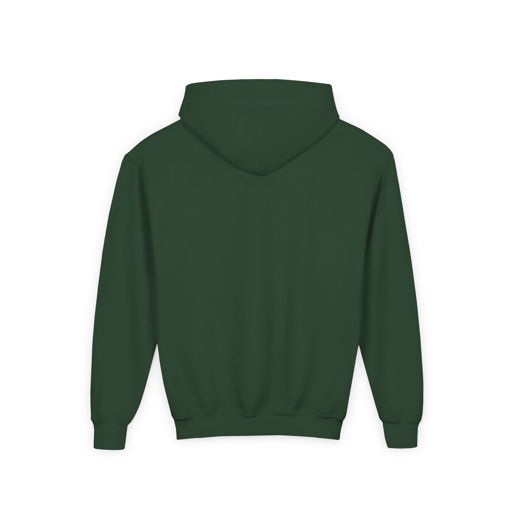 Sweat à capuche pour jeunes — Sweat Vibe