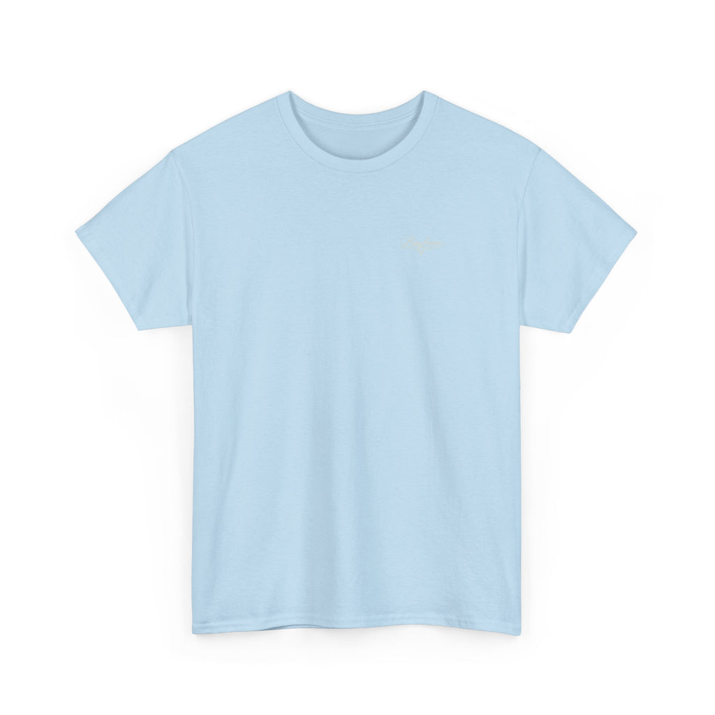 Unisex Heavy Cotton Teeshirts