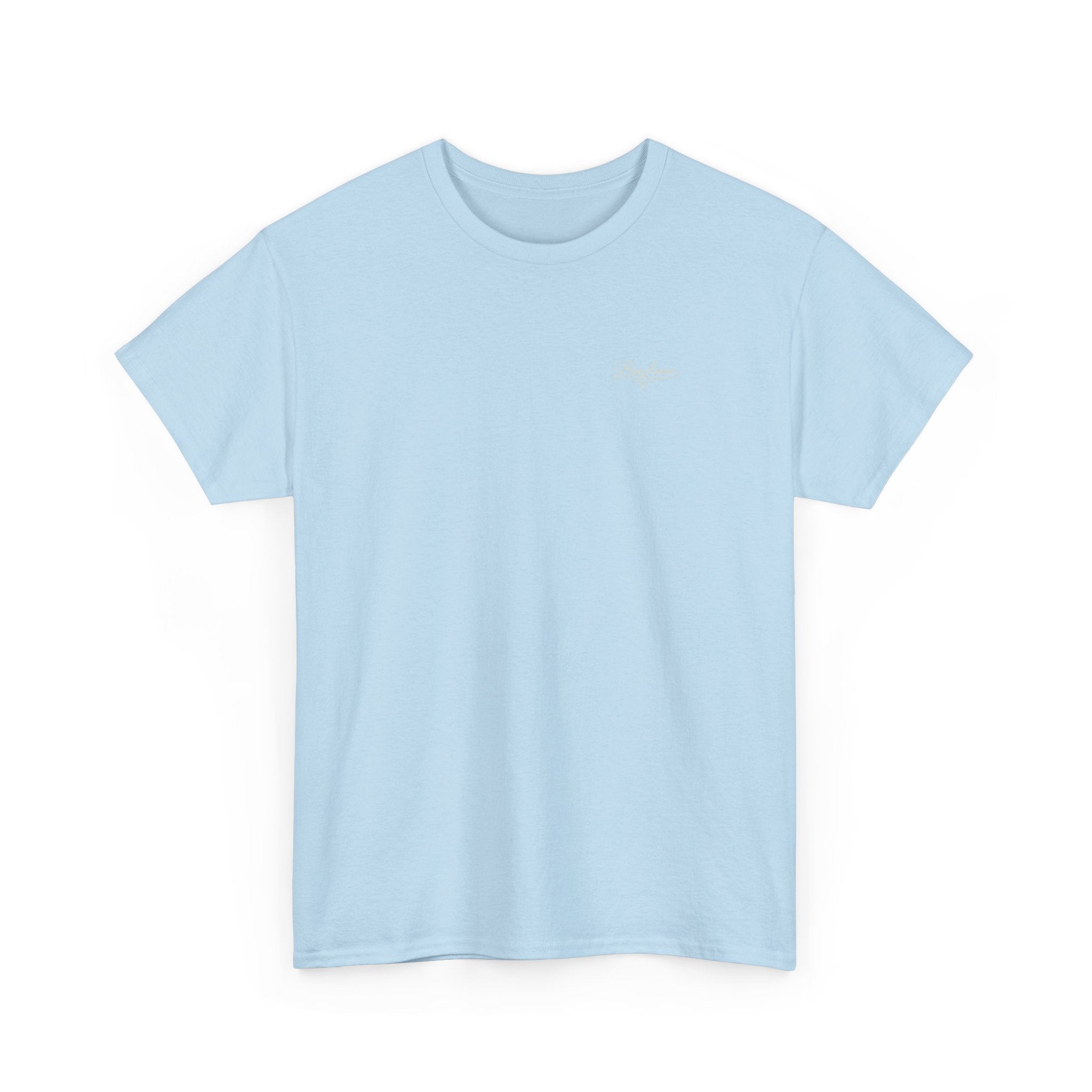 Unisex Heavy Cotton Teeshirts