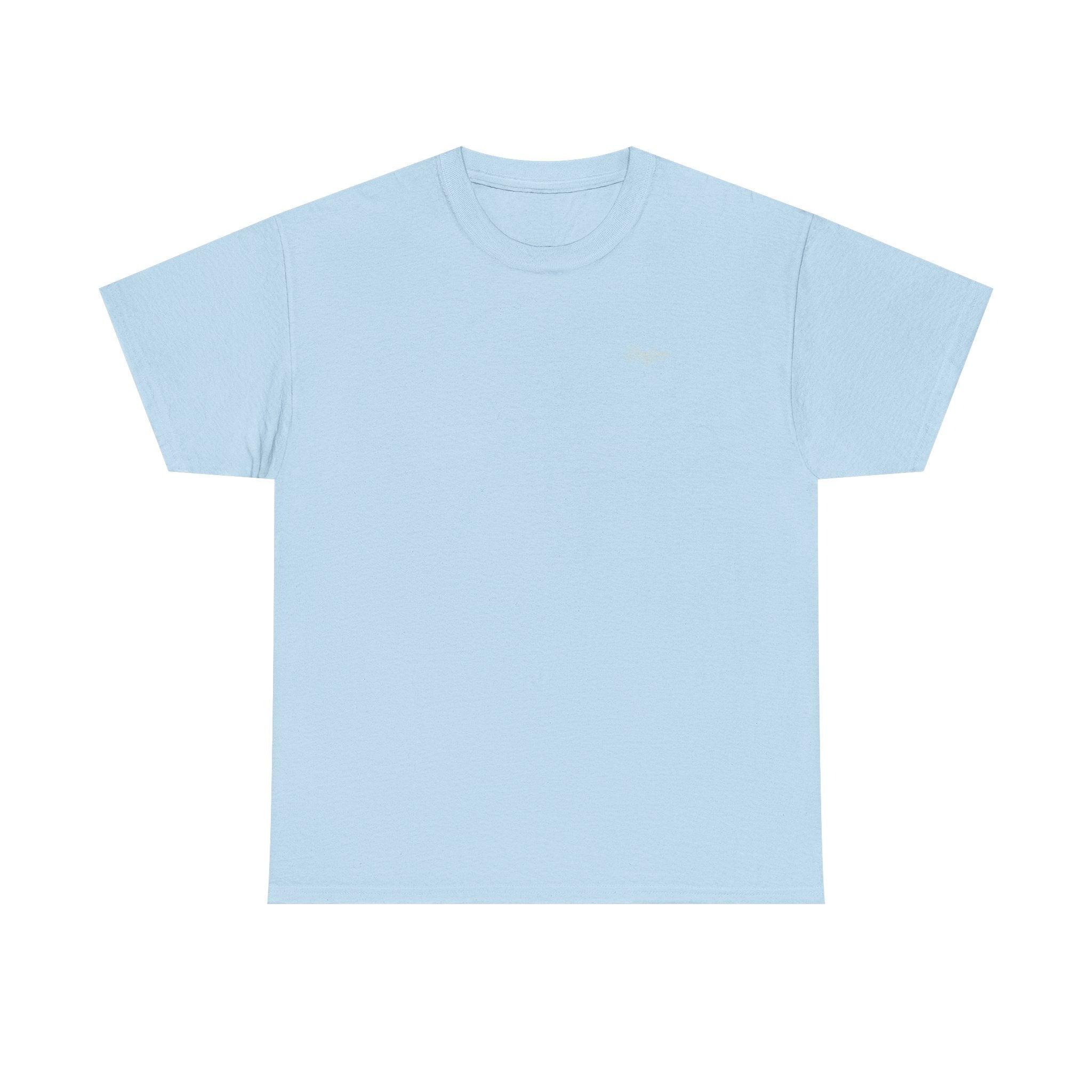 Unisex Heavy Cotton Teeshirts