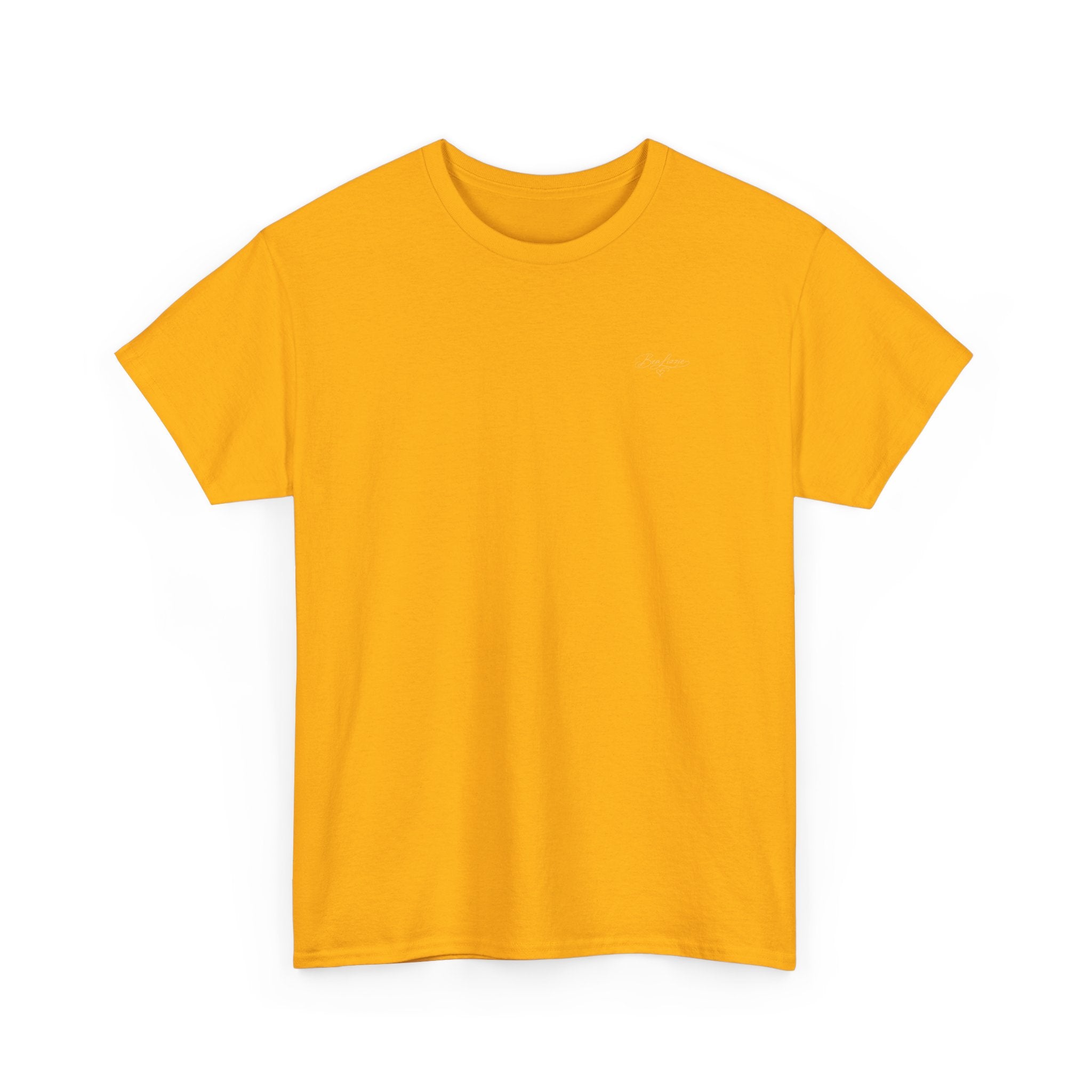 Unisex Heavy Cotton Teeshirts