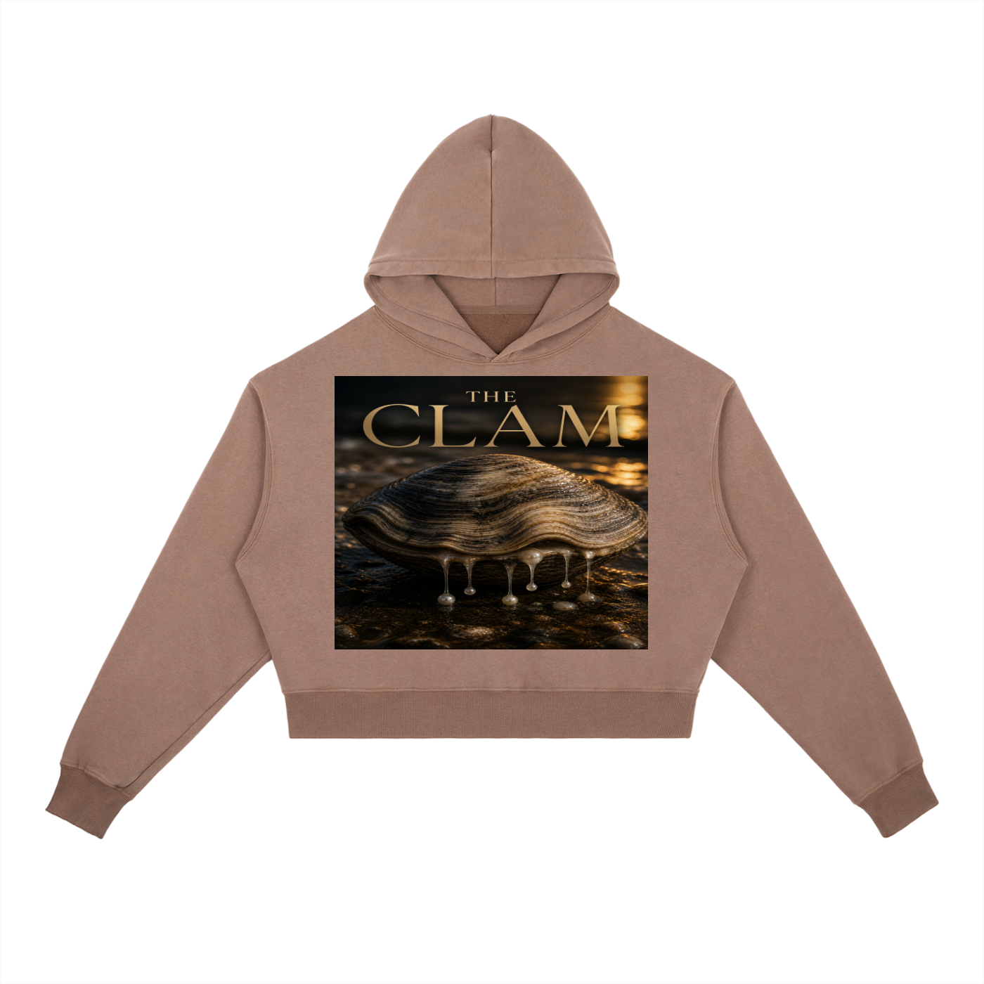 Sweat à Capuche Lourd Lavé Vintage