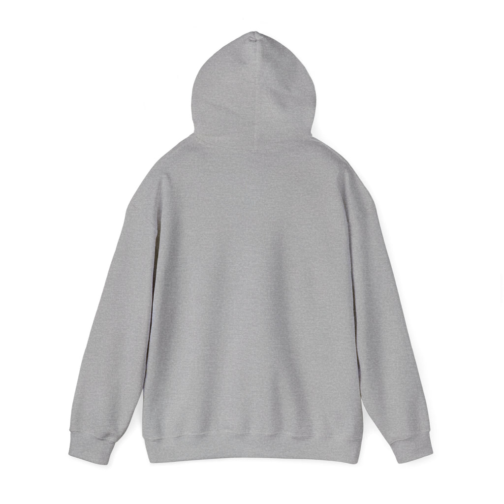 Sweat à capuche unisexe Heavy Blend™