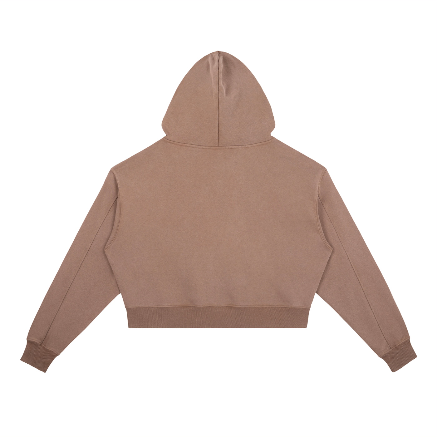 Sweat à Capuche Lourd Lavé Vintage
