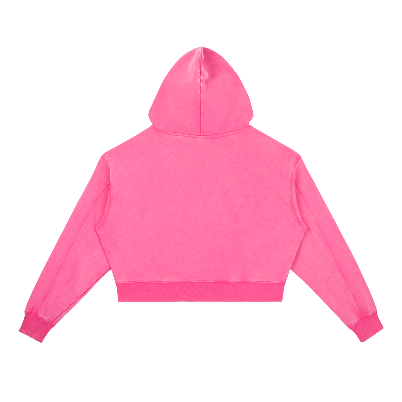 Sweat à Capuche Lourd Lavé Vintage