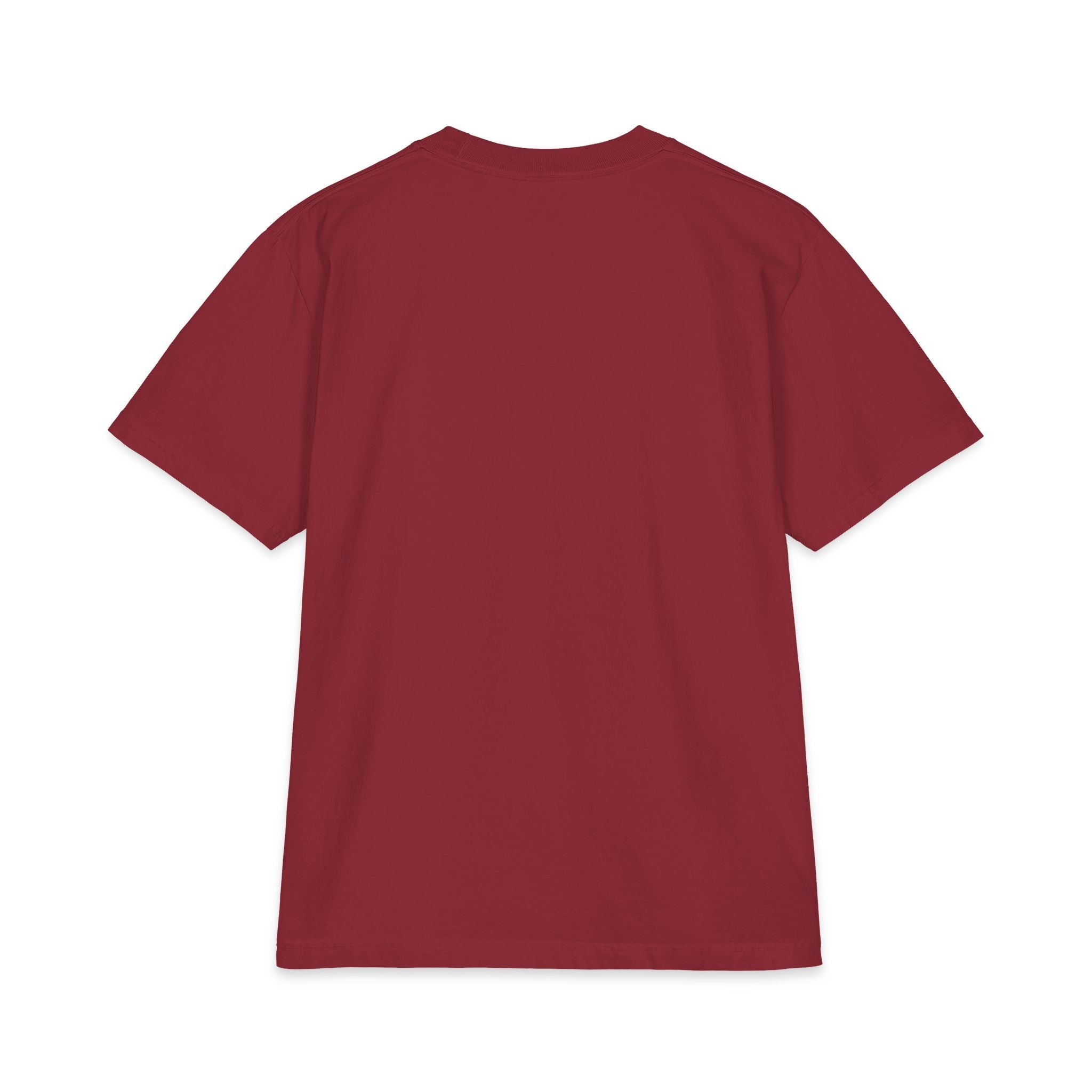 T-Shirt Héritières de la Lignée du Dragon
