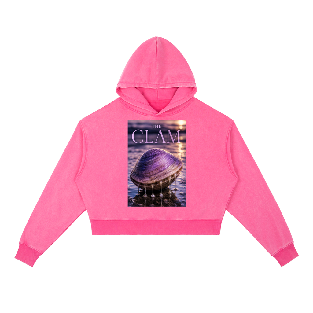 Vintage Washed Heavyweight Hoodie