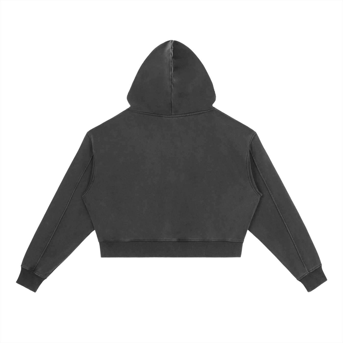 Sweat à Capuche Lourd Lavé Vintage