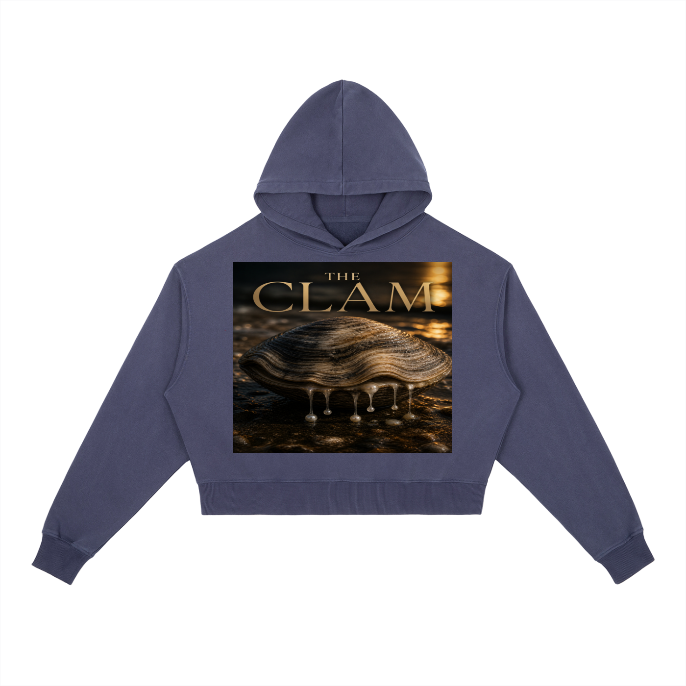 Sweat à Capuche Lourd Lavé Vintage