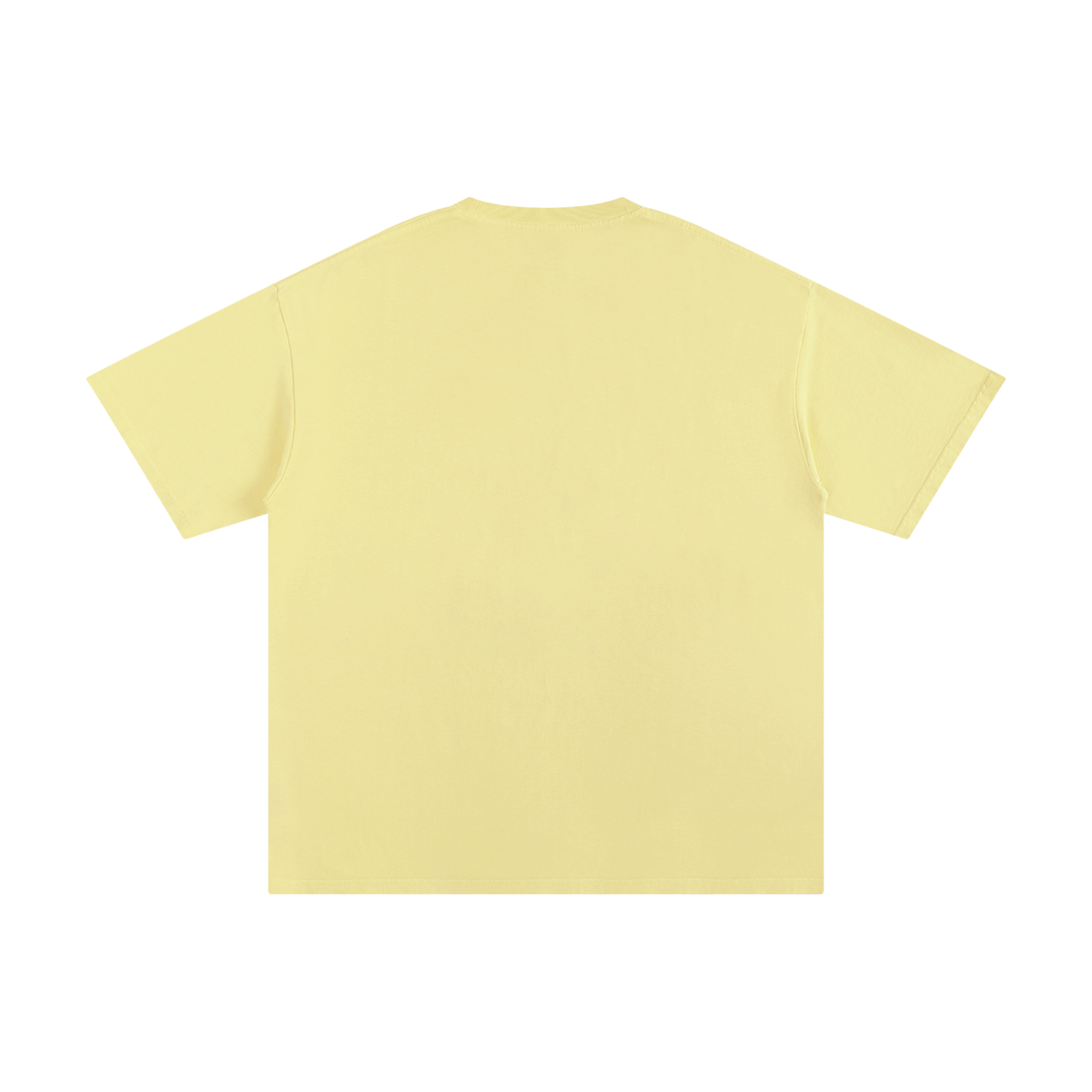 T-shirt unisexe 100 % coton