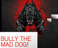 Kindle: 2026 Bully the Mad Dog!